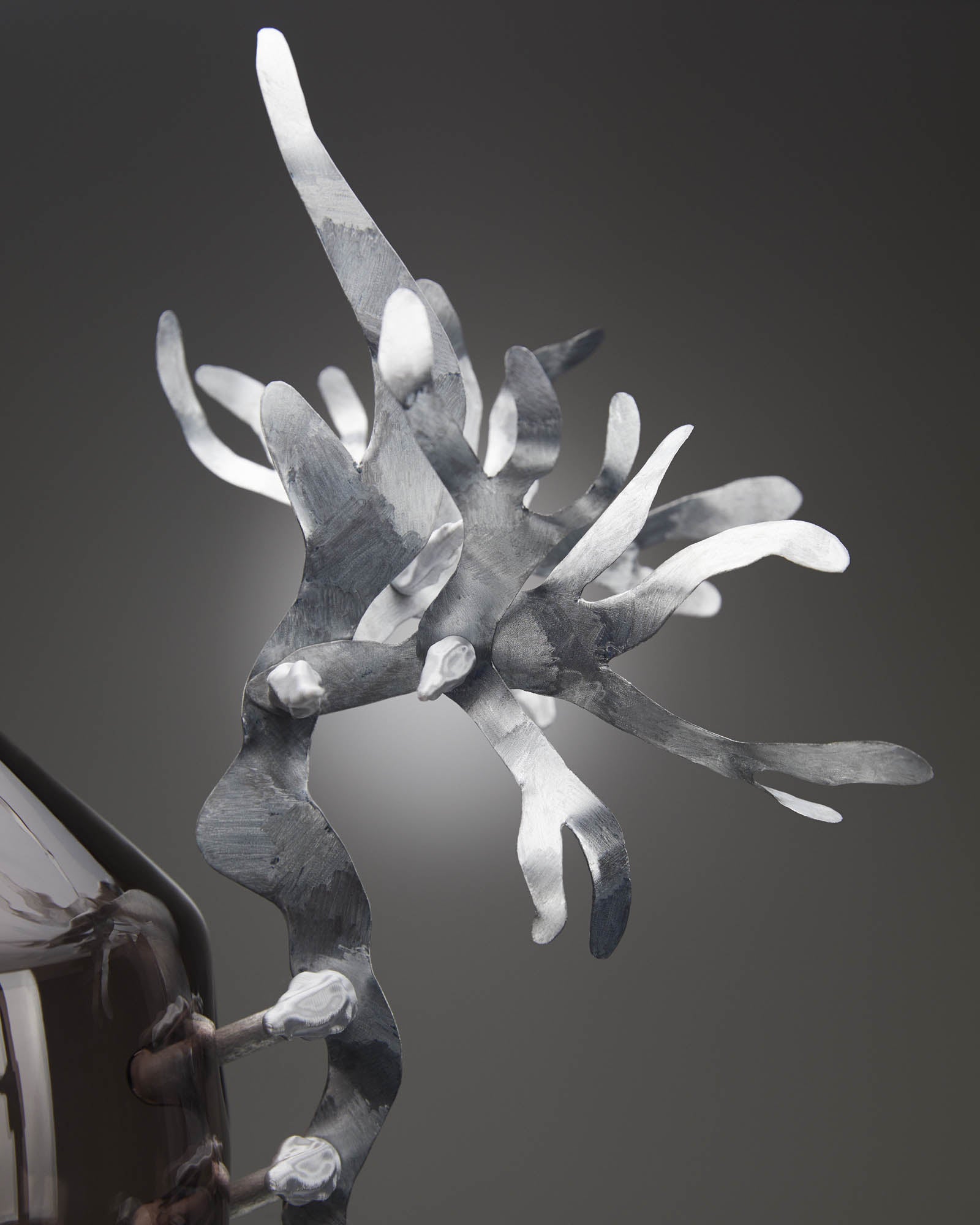 Trophy of a Synthetic Age 3