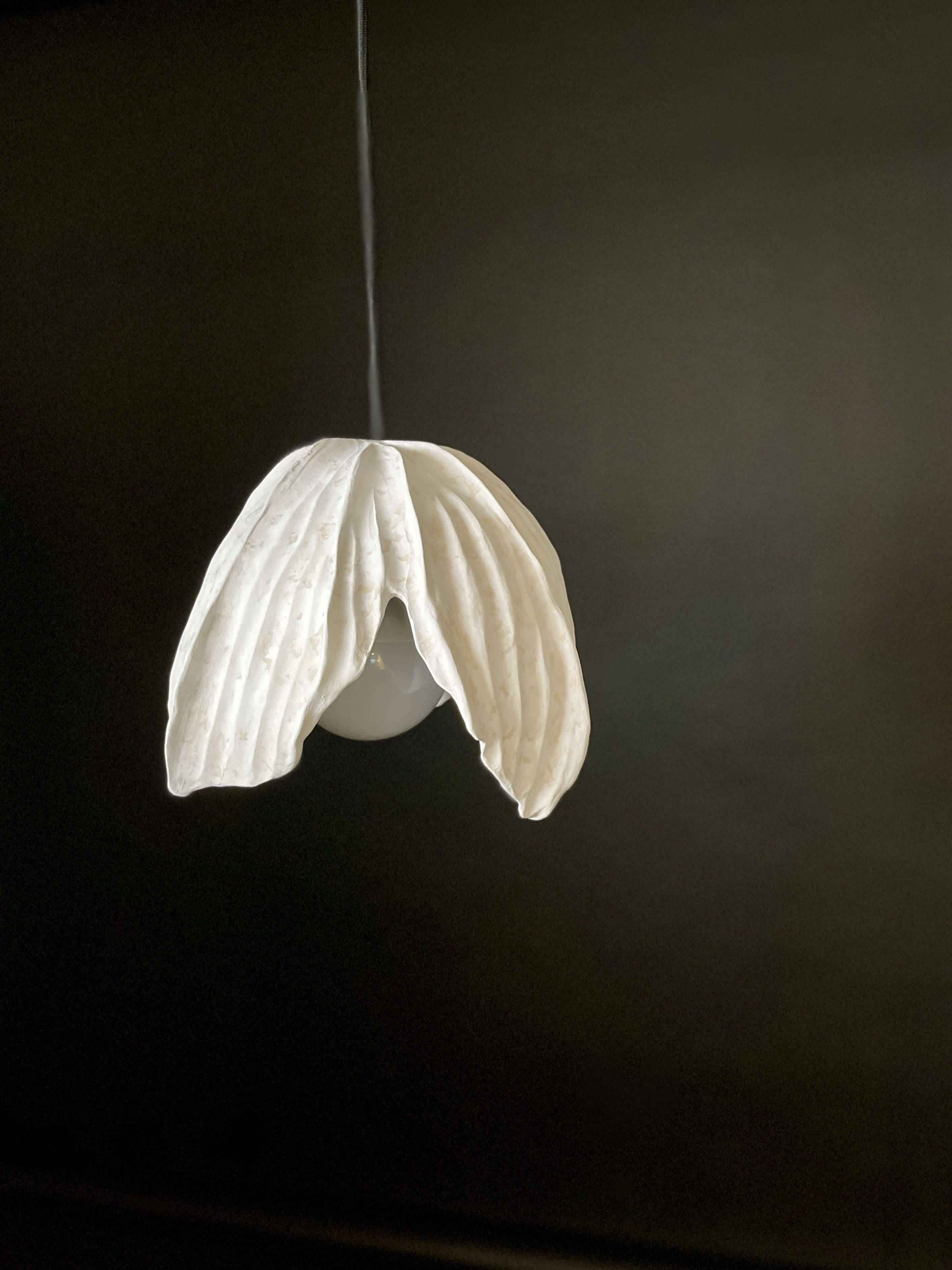 Physalis Lampshade 01