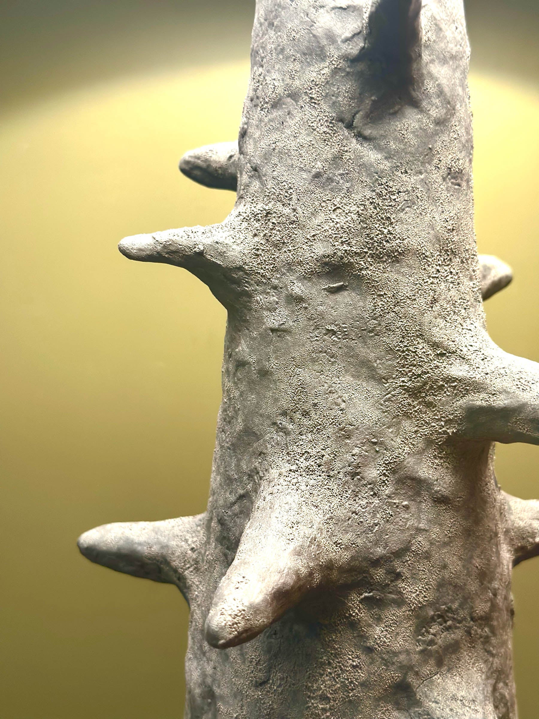 Ceiba Lamp