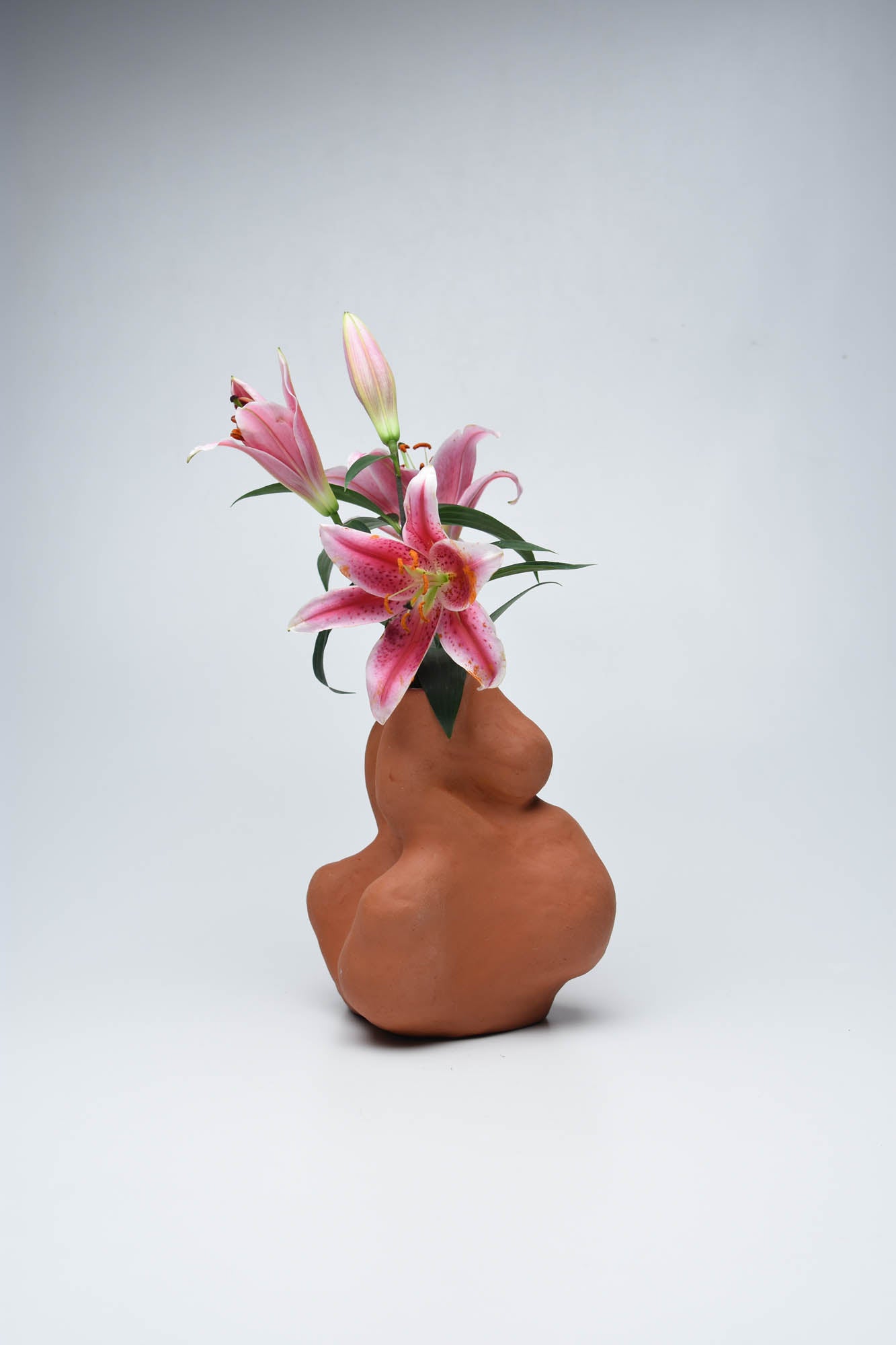 Nouriosity Vase