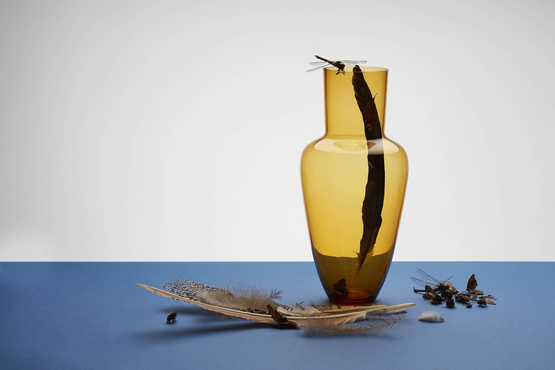 Transparent Garden Vessel