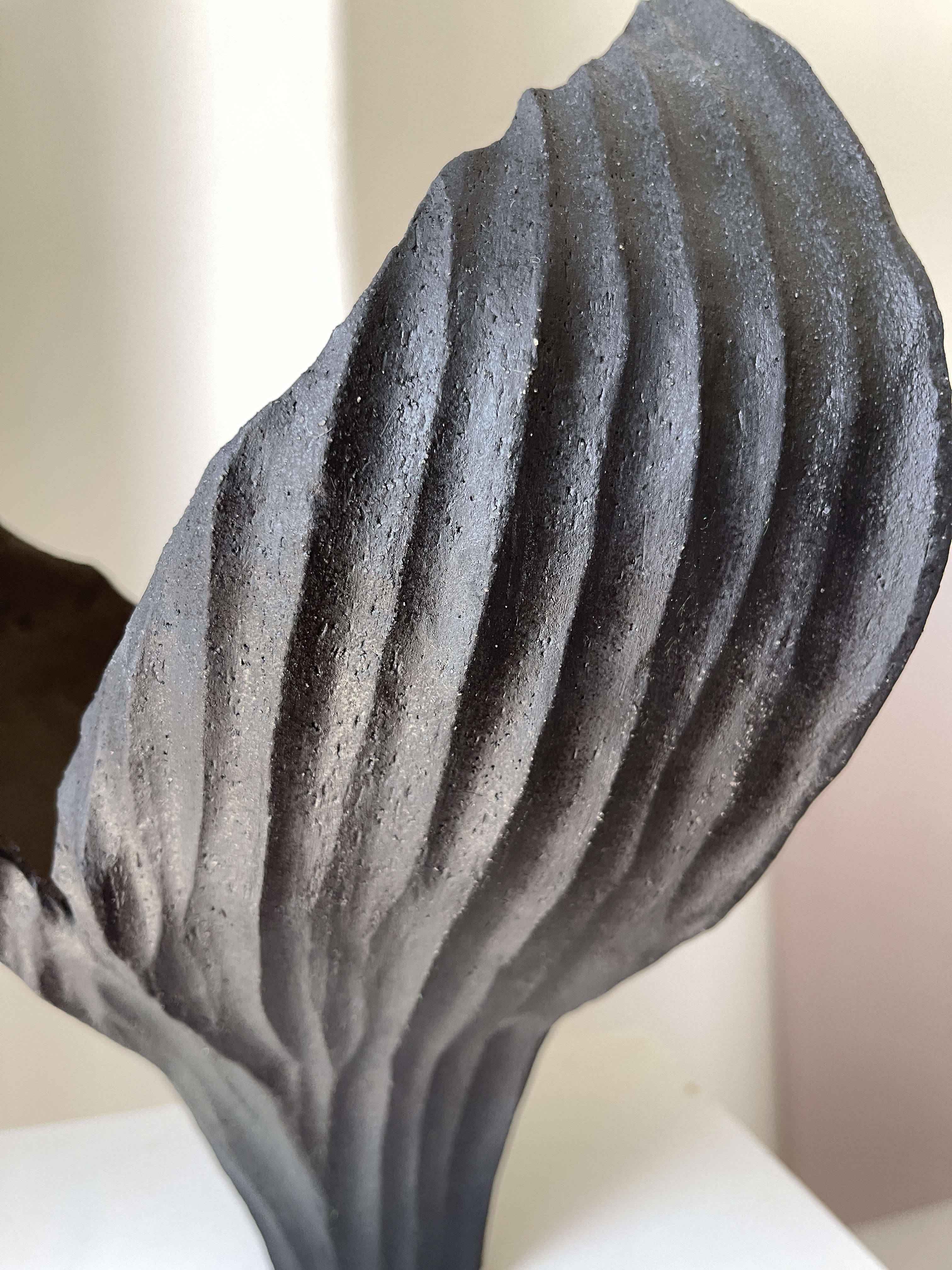 Physalis 011