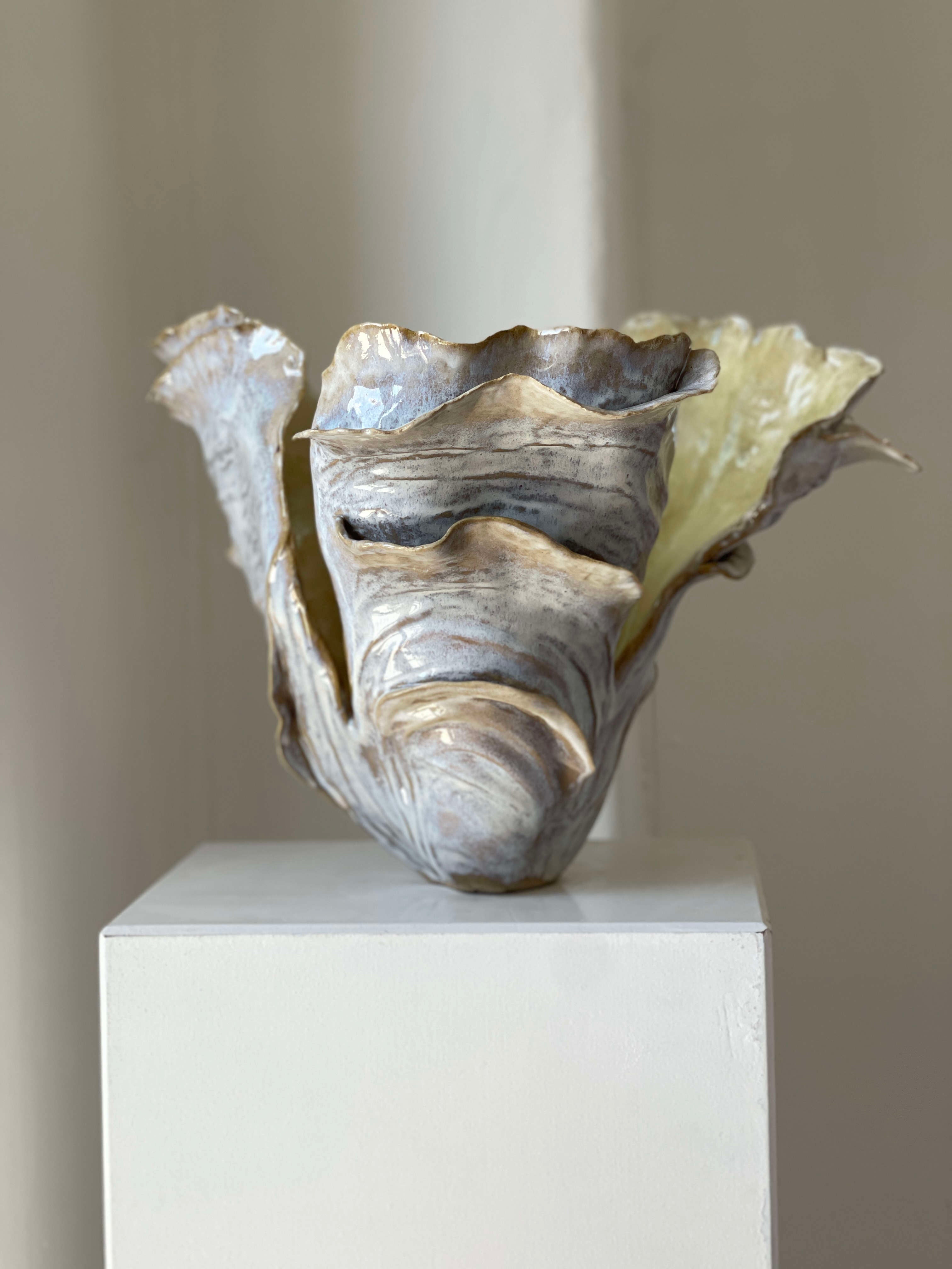 Oysterflower 01