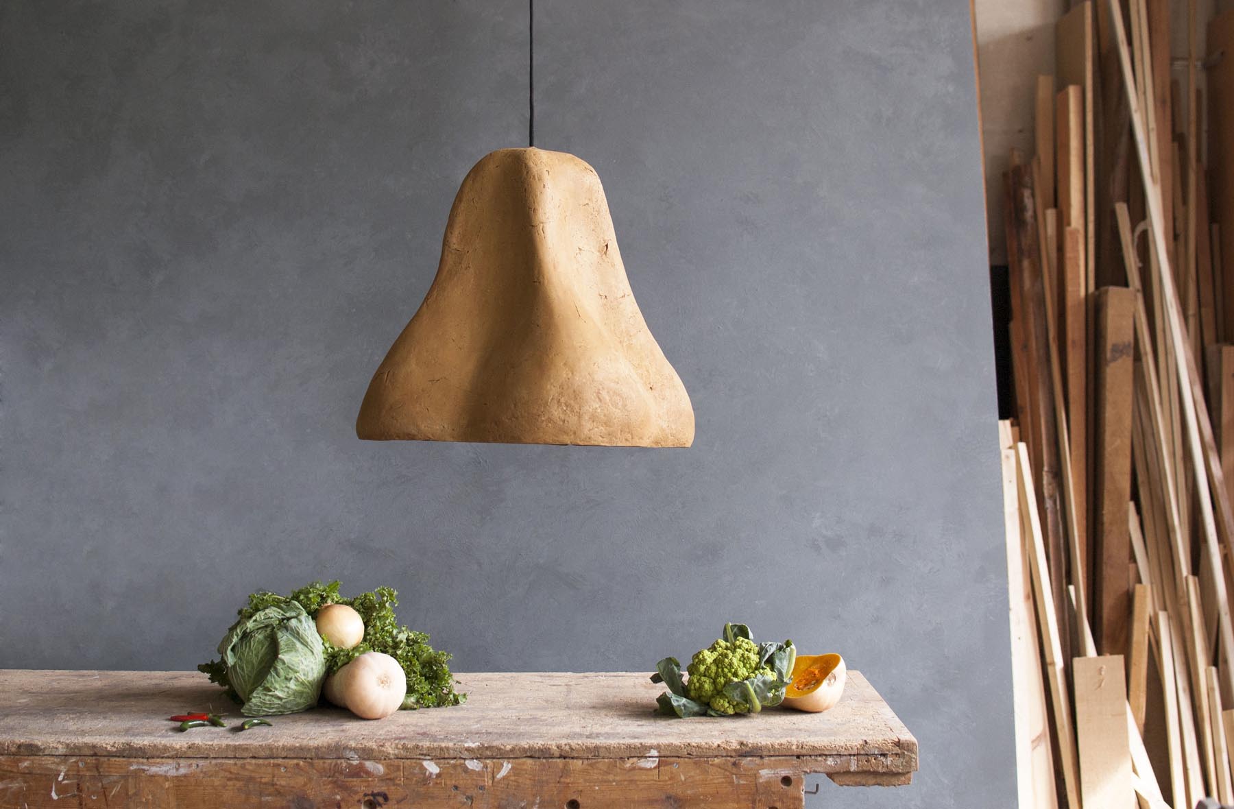 Sensi II Arts Light Fixture