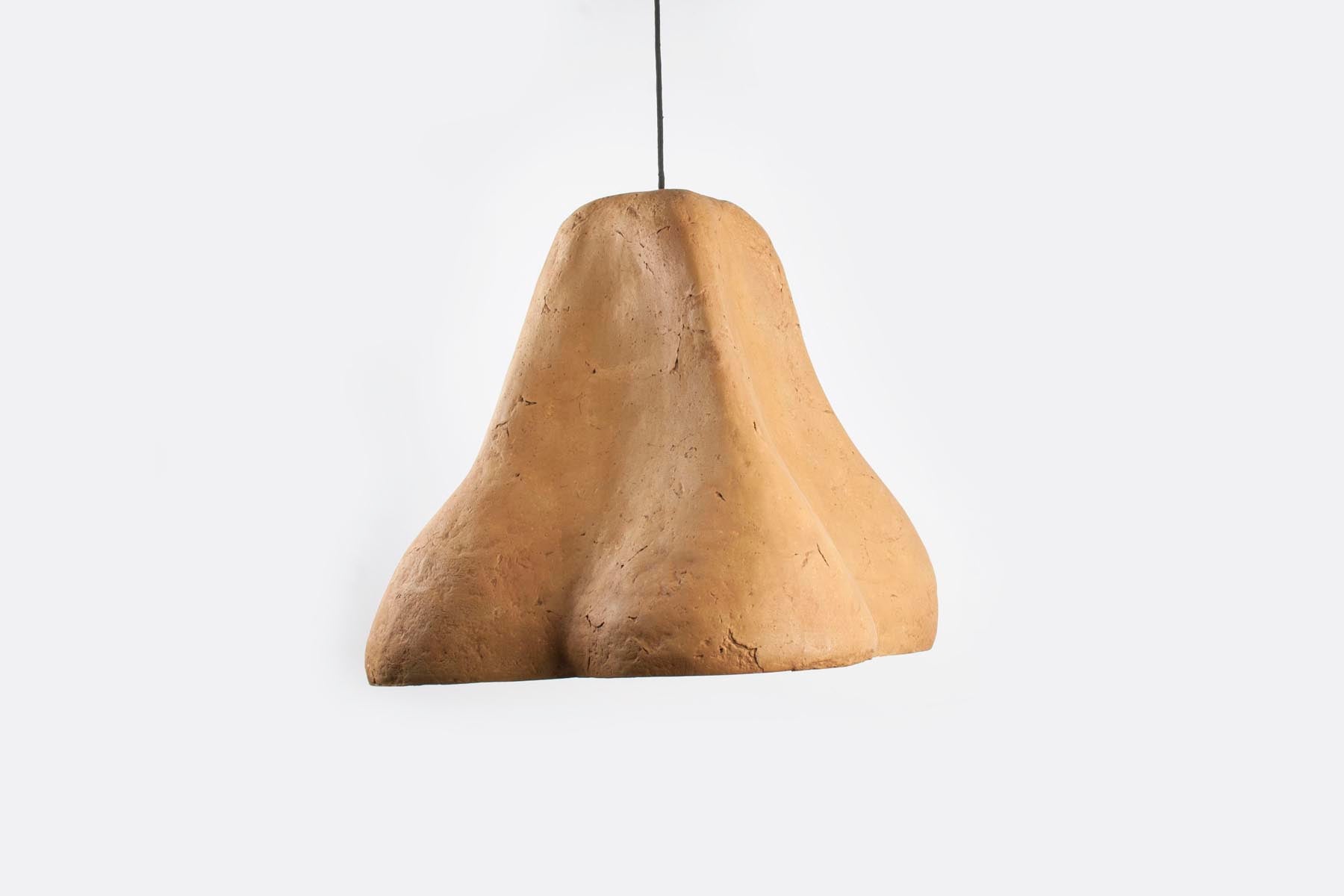 Sensi II Arts Light Fixture