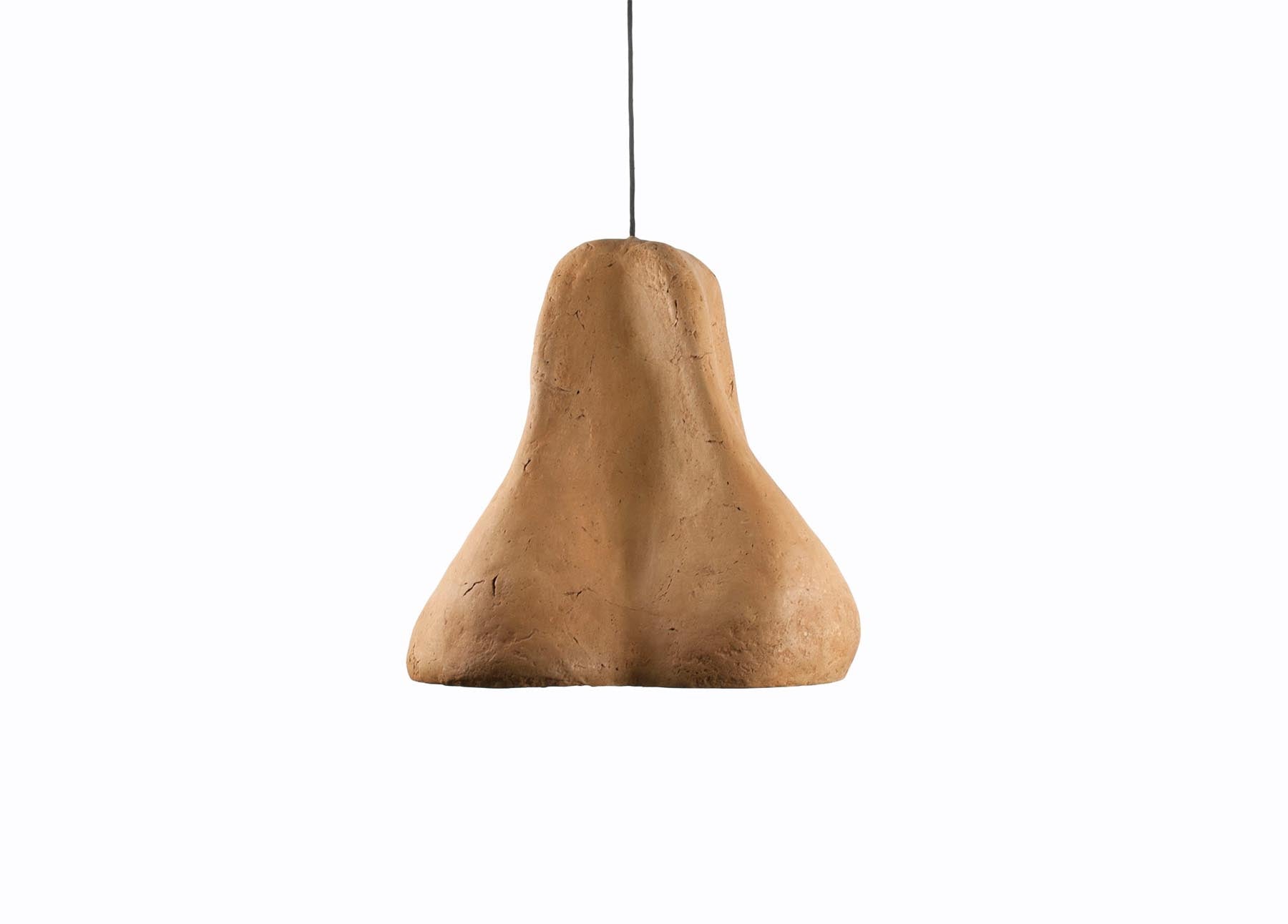 Sensi II Arts Light Fixture
