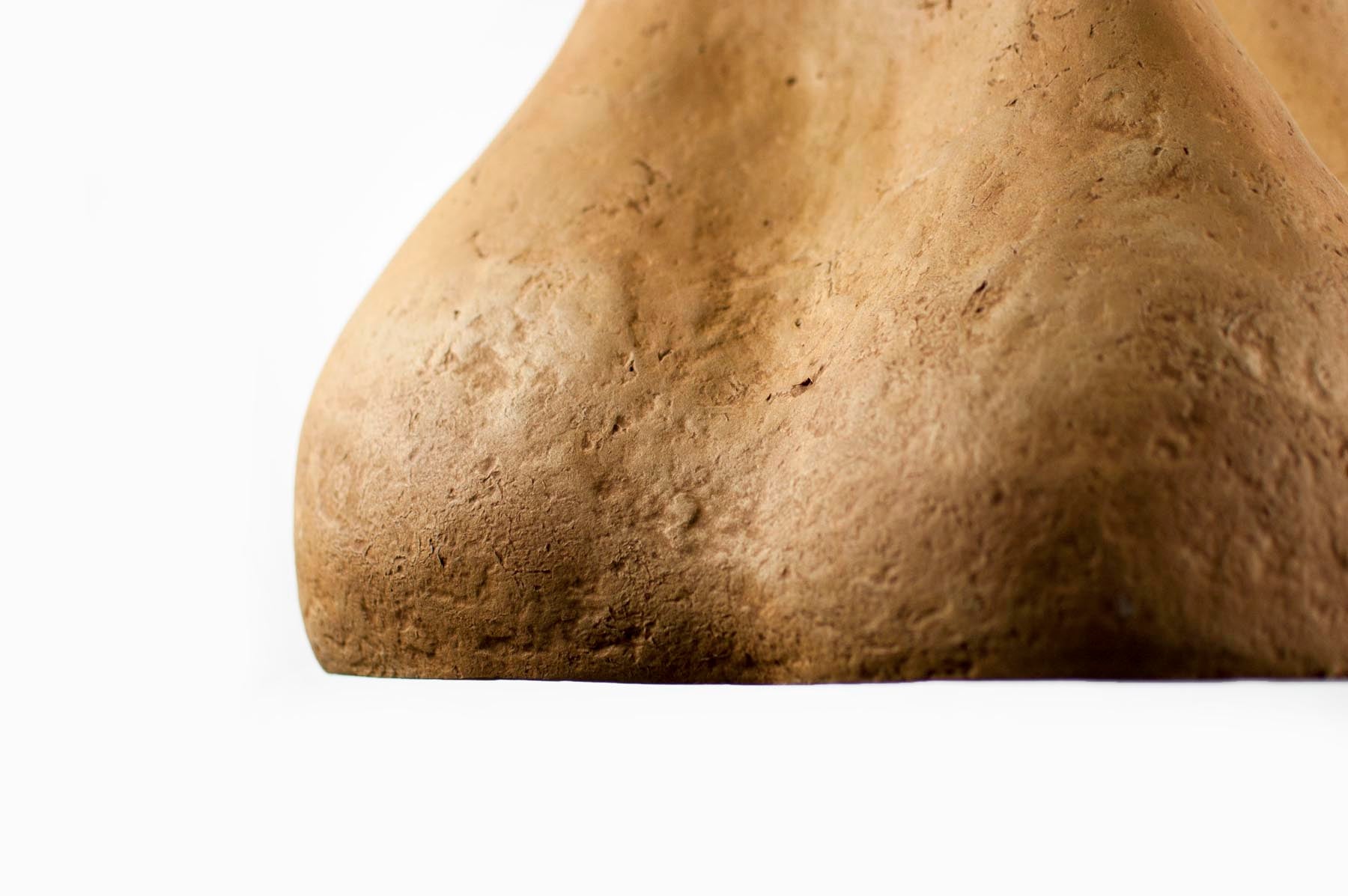 Sensi II Arts Light Fixture