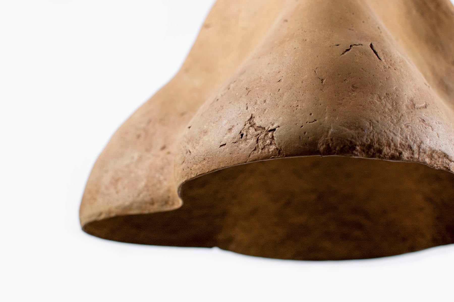 Sensi II Arts Light Fixture