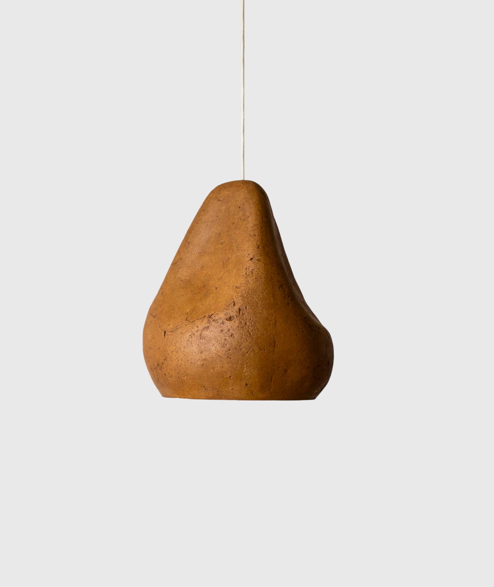 Sensi IV Arts Light Fixture