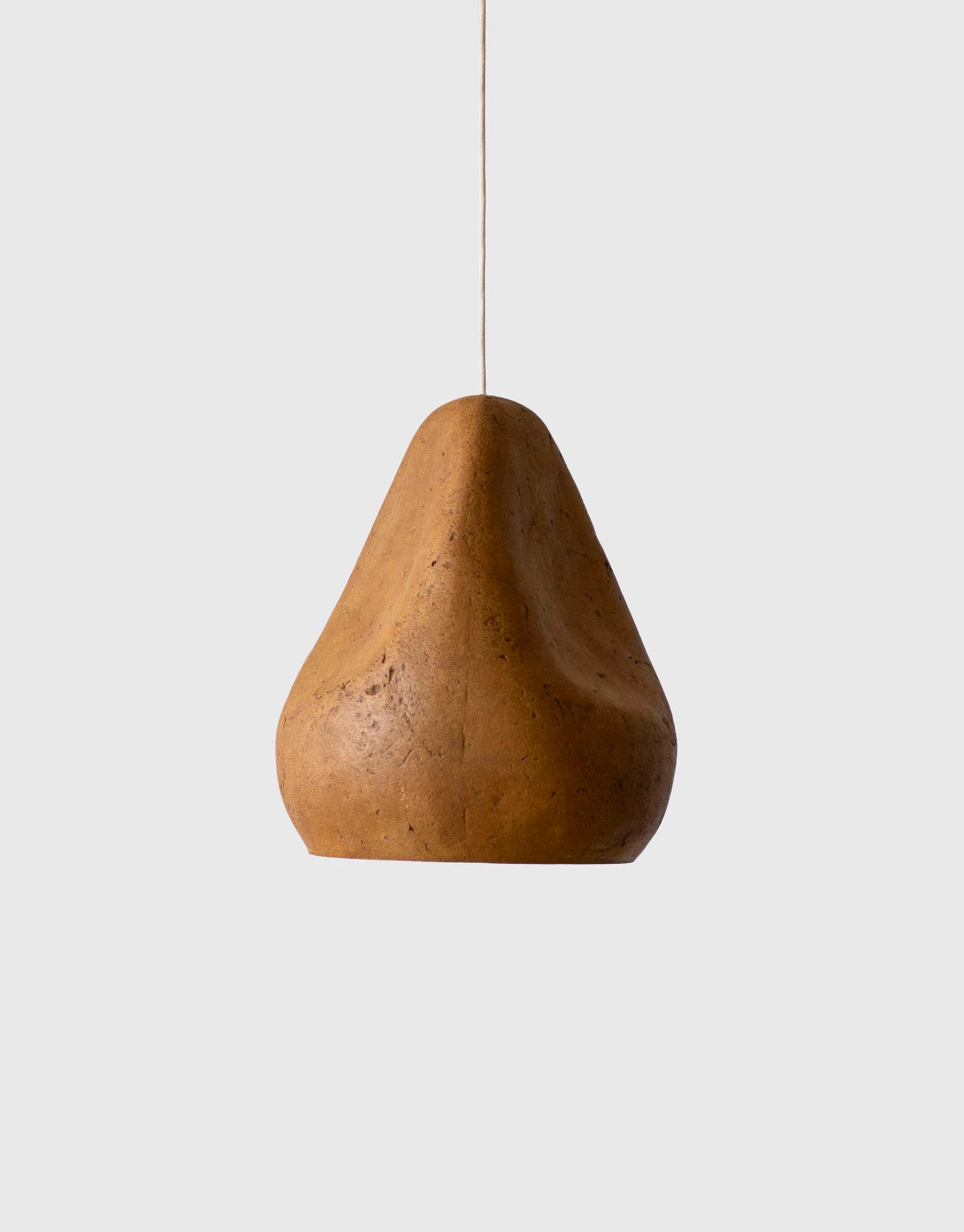 Sensi IV Arts Light Fixture