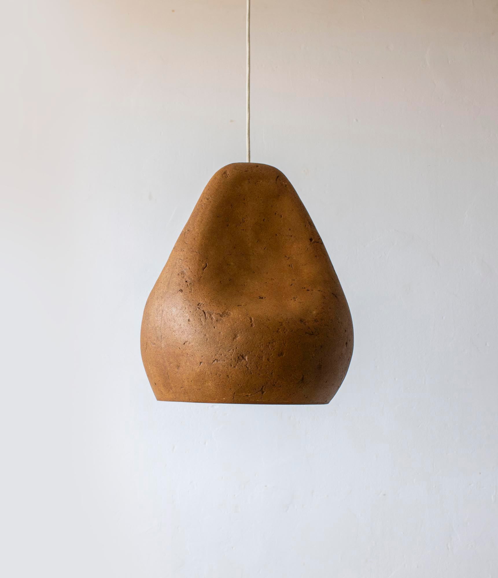 Sensi IV Arts Light Fixture