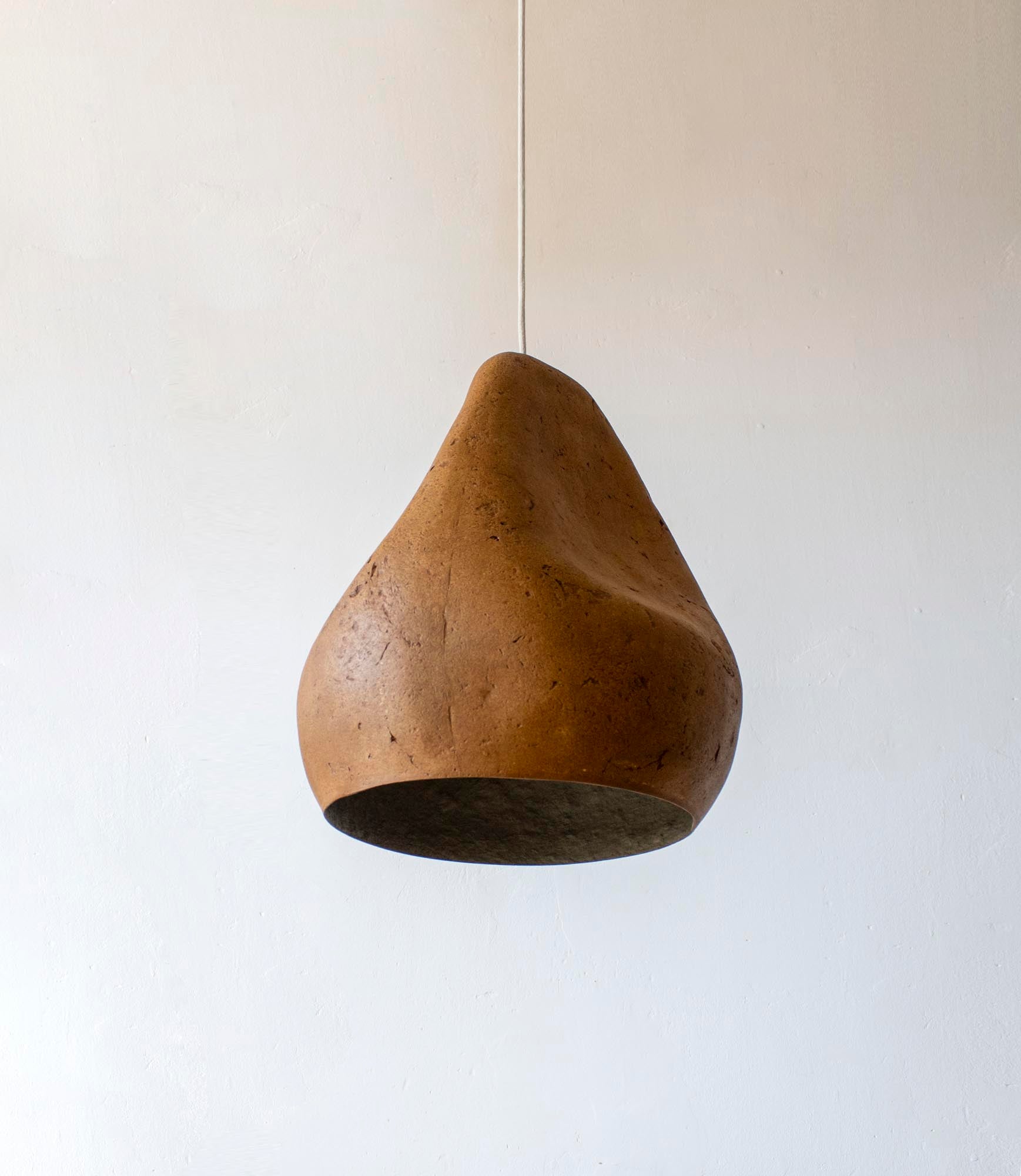 Sensi IV Arts Light Fixture