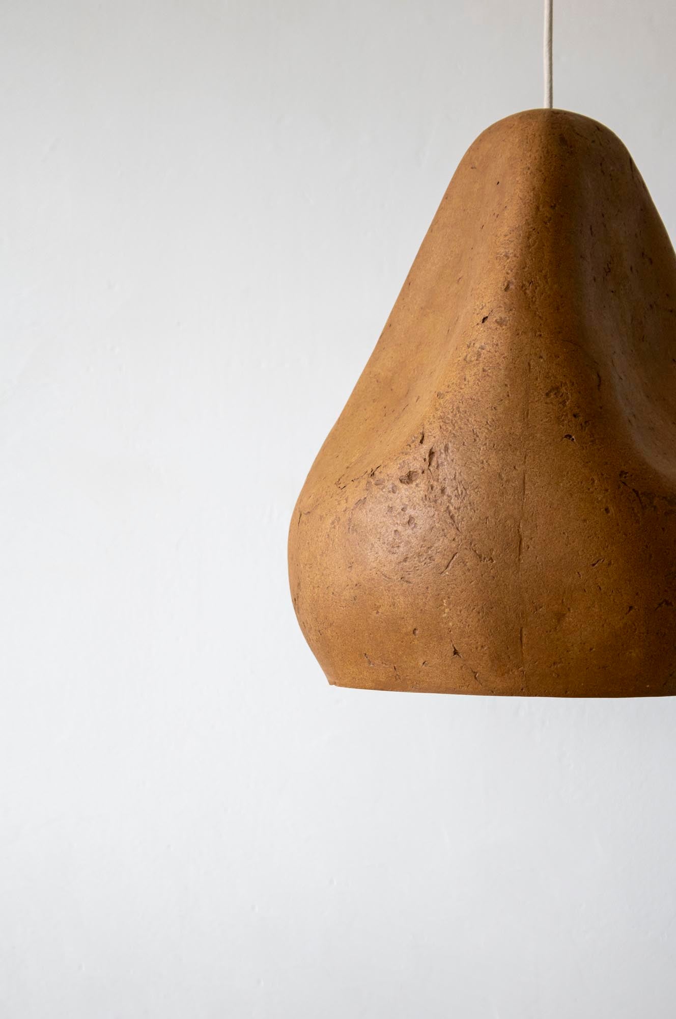 Sensi IV Arts Light Fixture