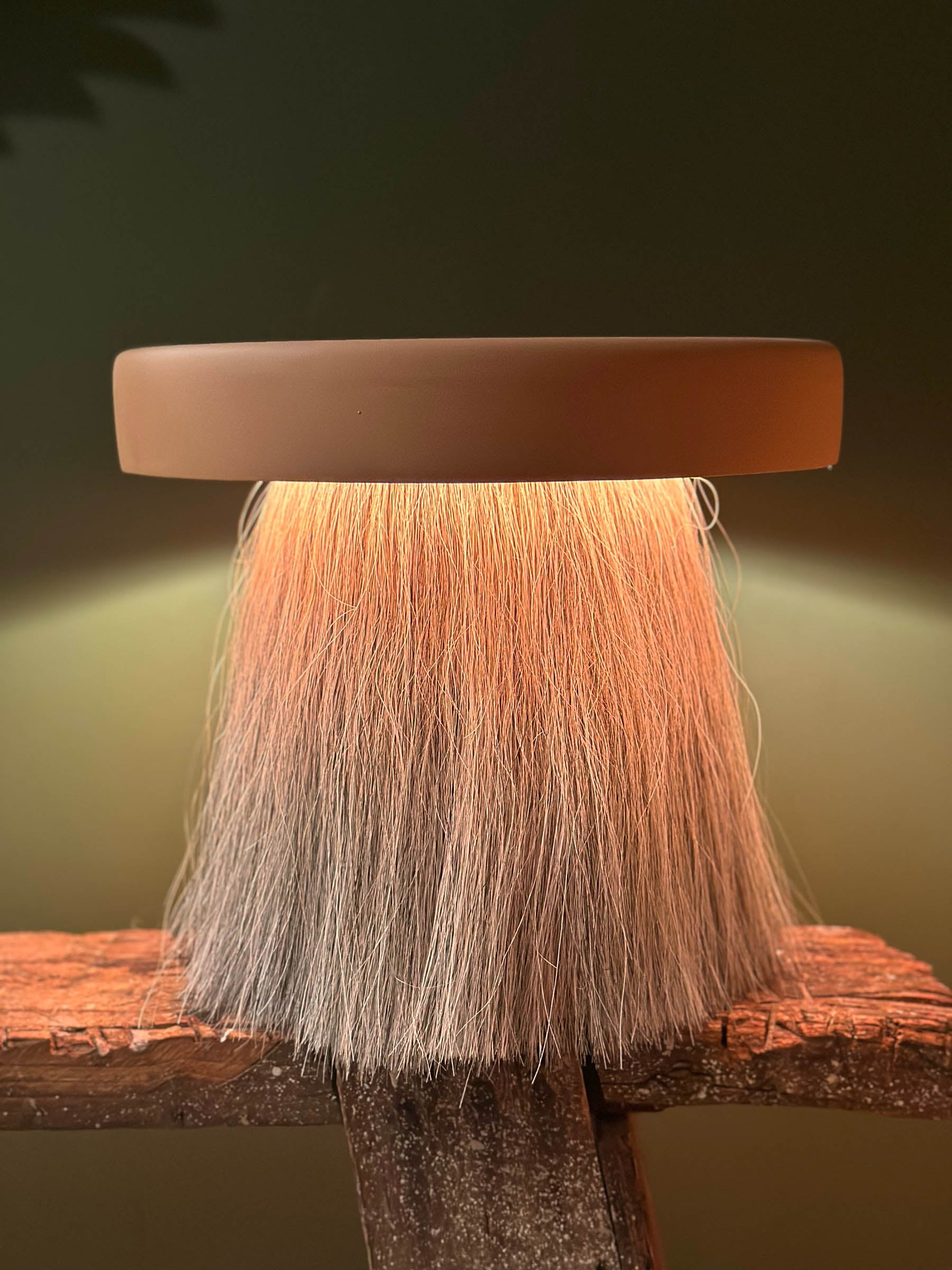 Velo Lamp