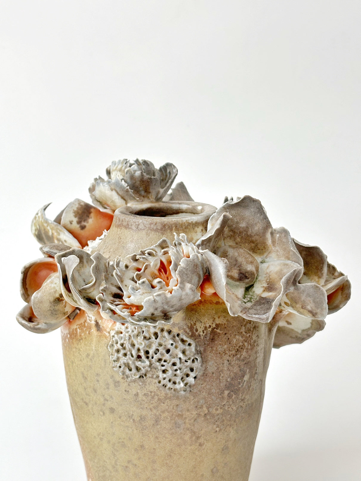 Ash Bloom 02