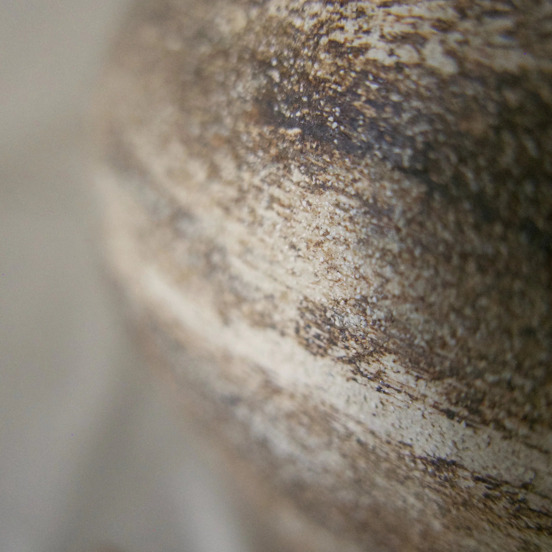 Black Échos Vase