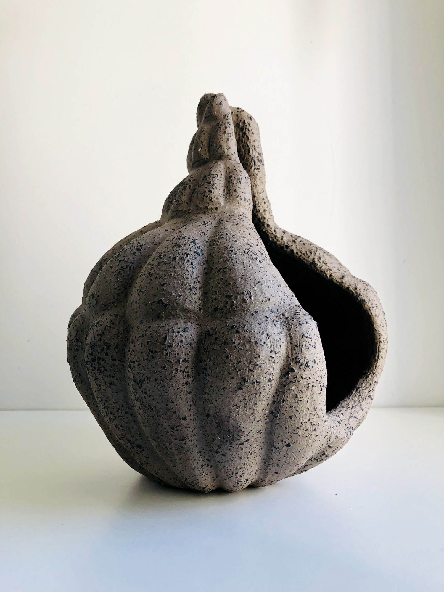 Inner Voice Vessel