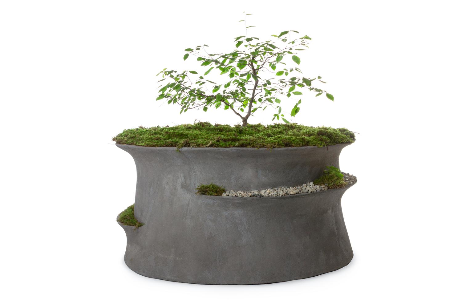 concrete pot for plants Jabbah by Robert Remer