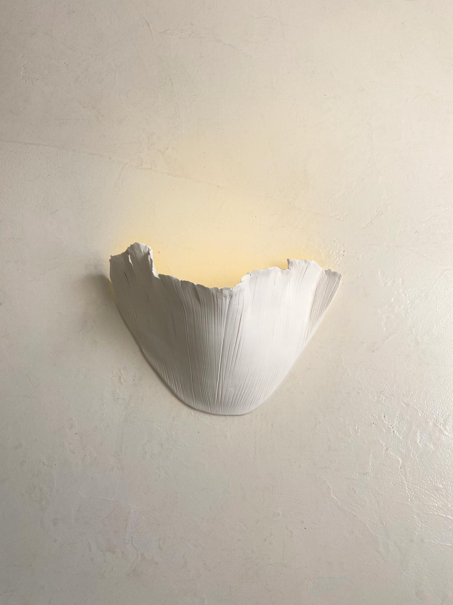 Le Large Wall Light