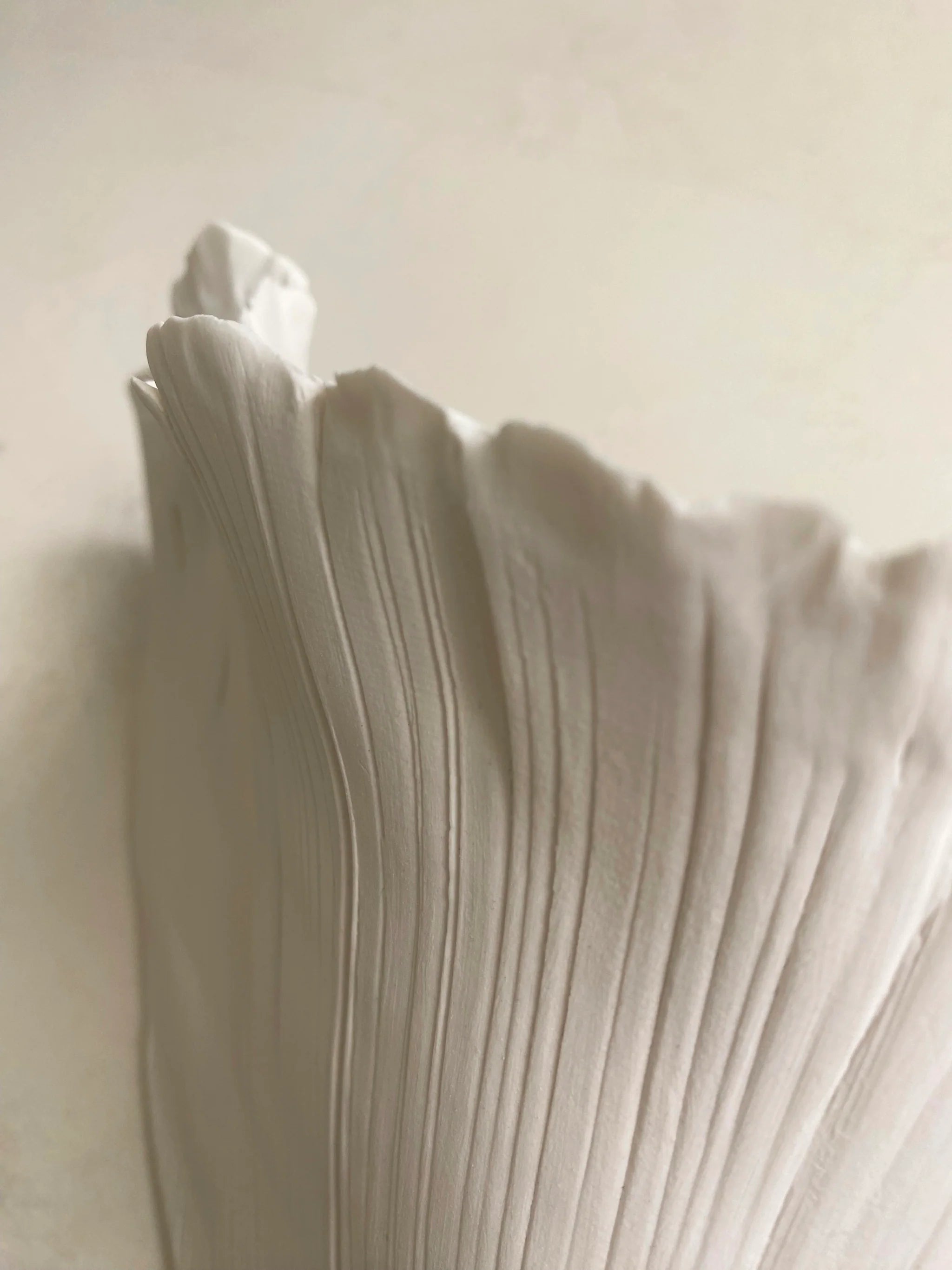 Le Large Wall Light