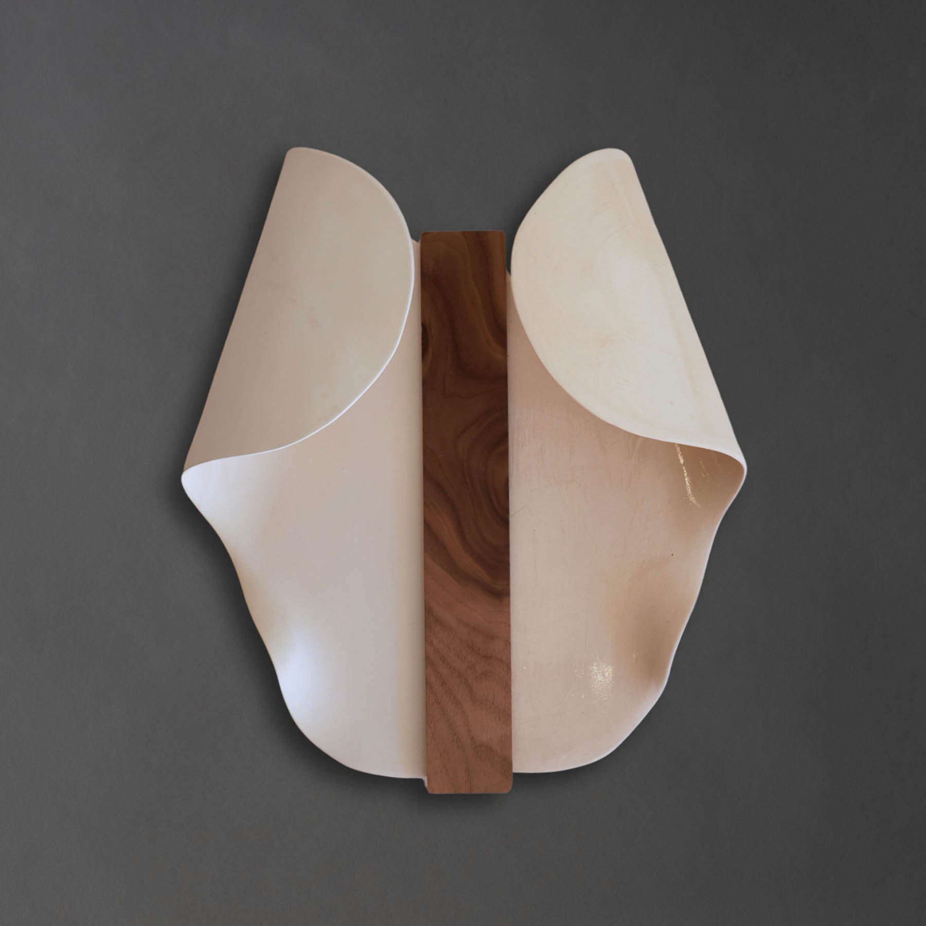 White Folded Wings