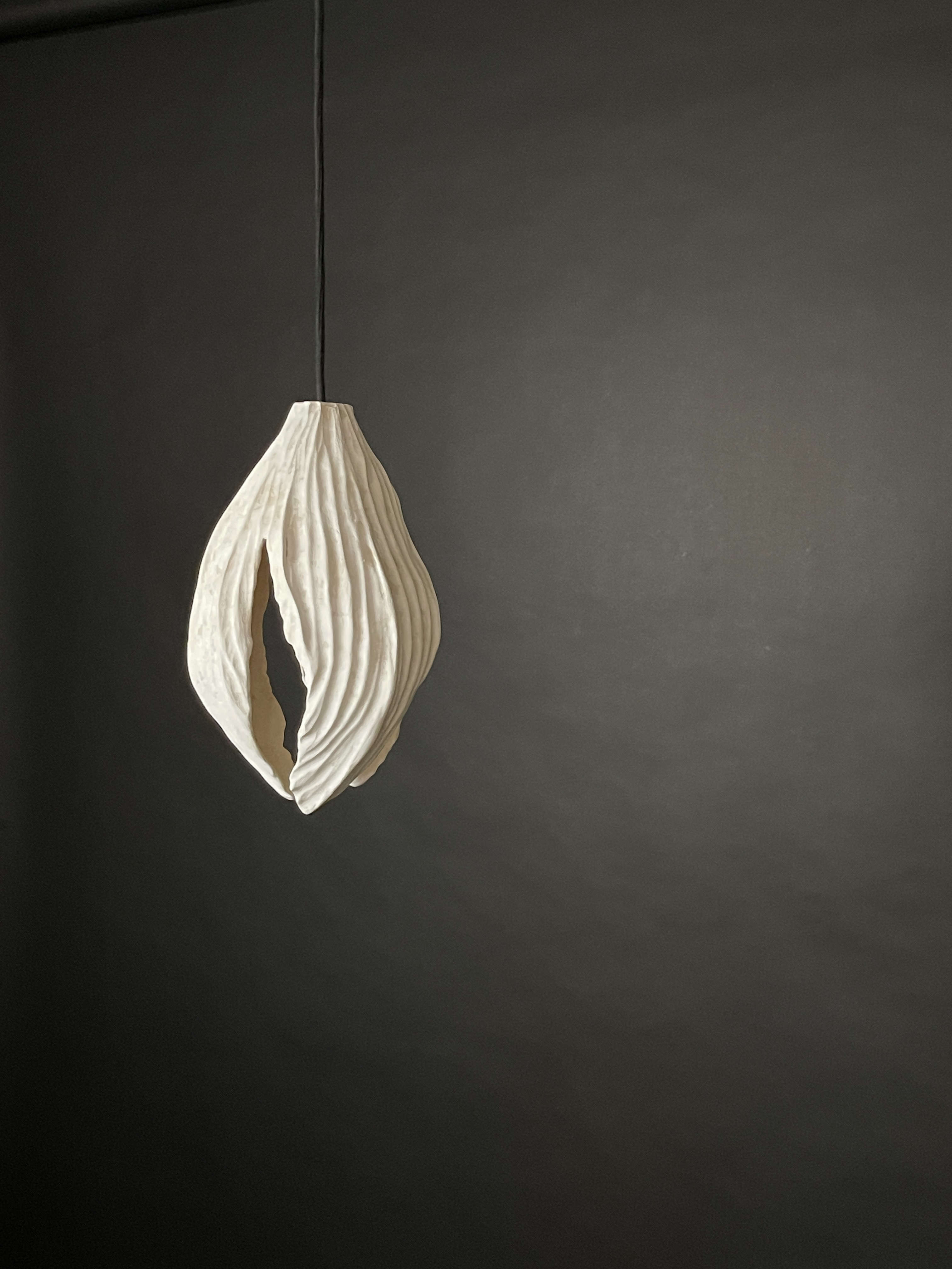 Physalis Lampshade 02