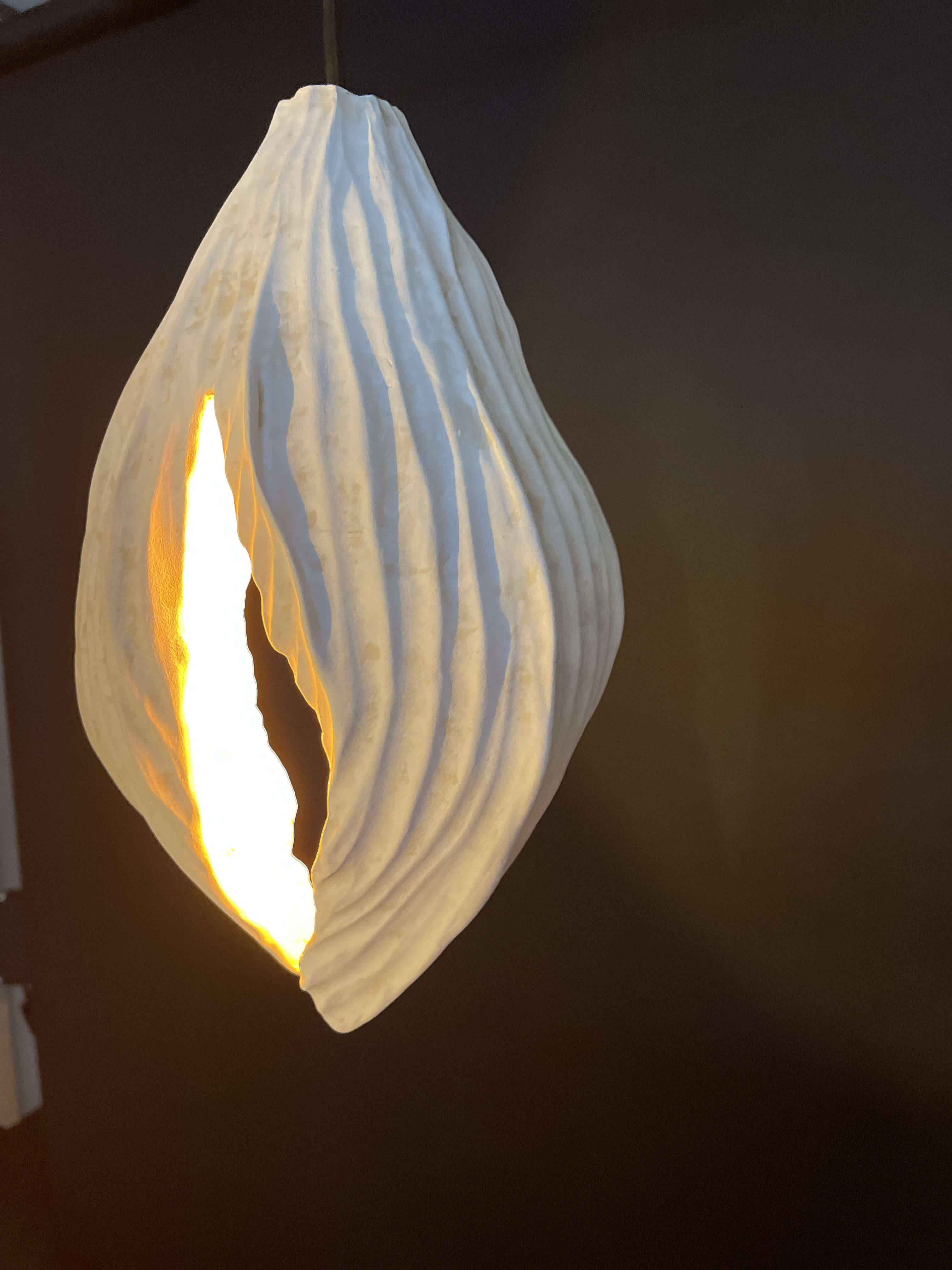Physalis Lampshade 02