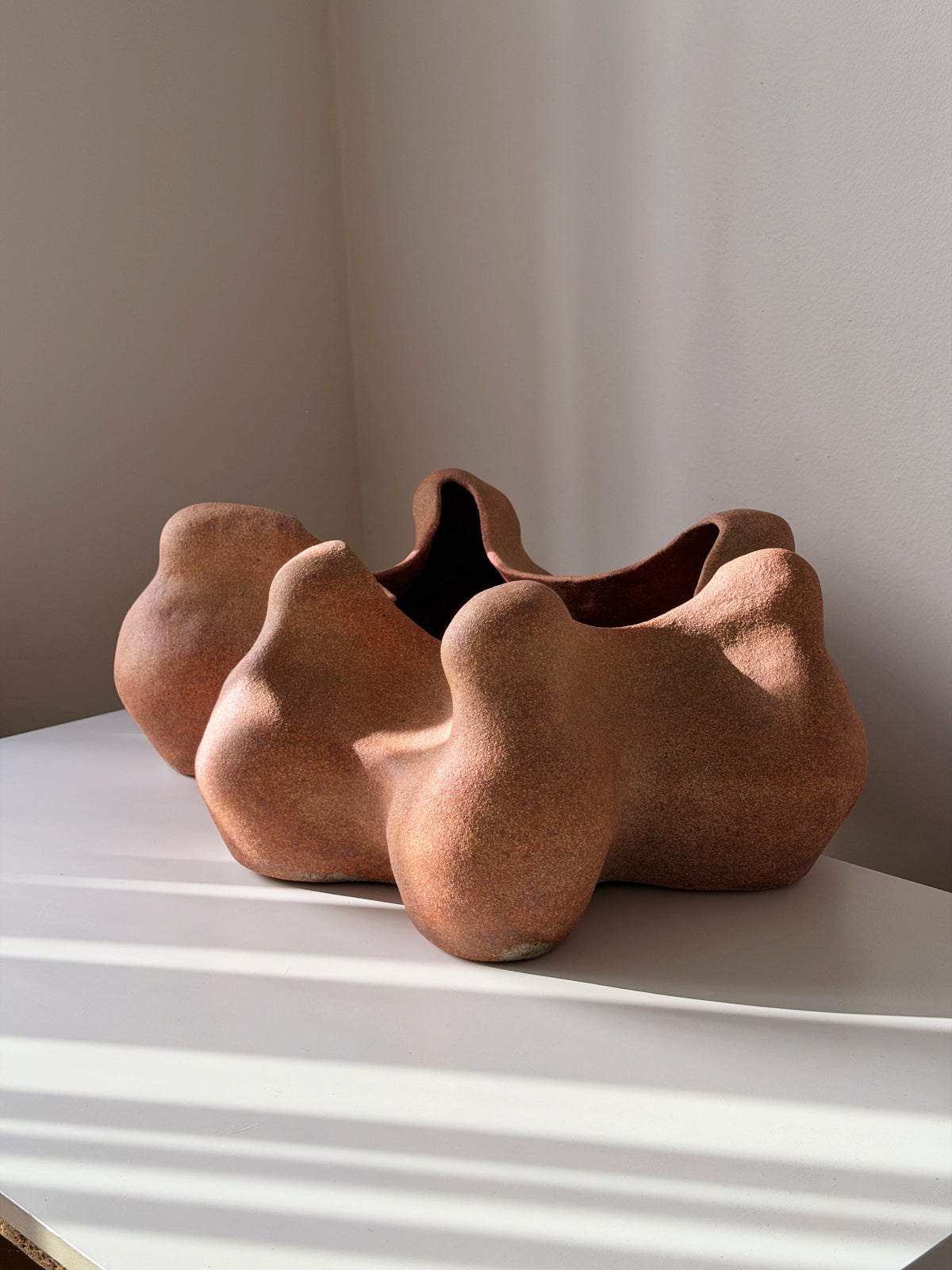 Handbuilt Organic Ceramic Sculpture