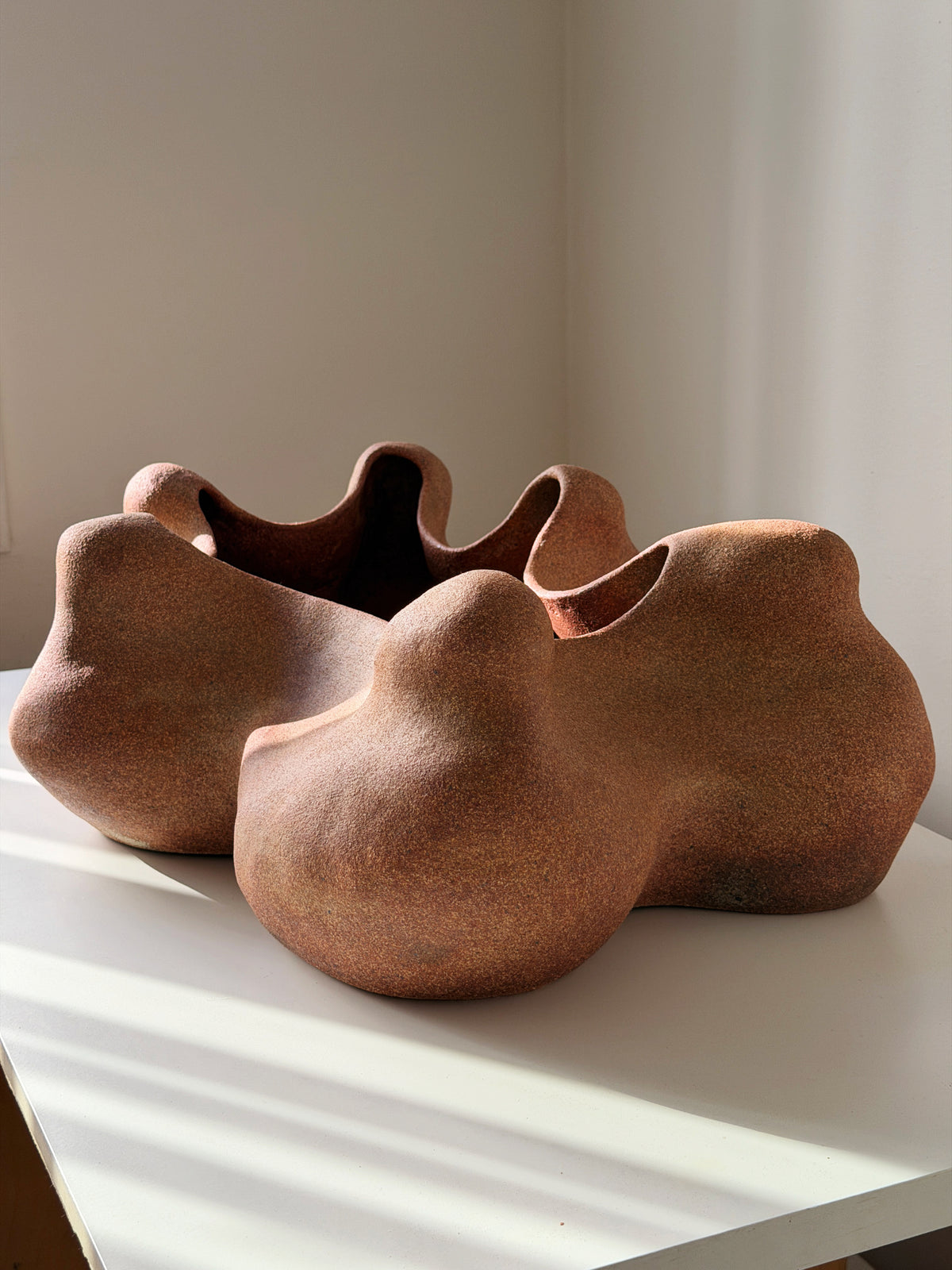 Handbuilt Organic Ceramic Sculpture