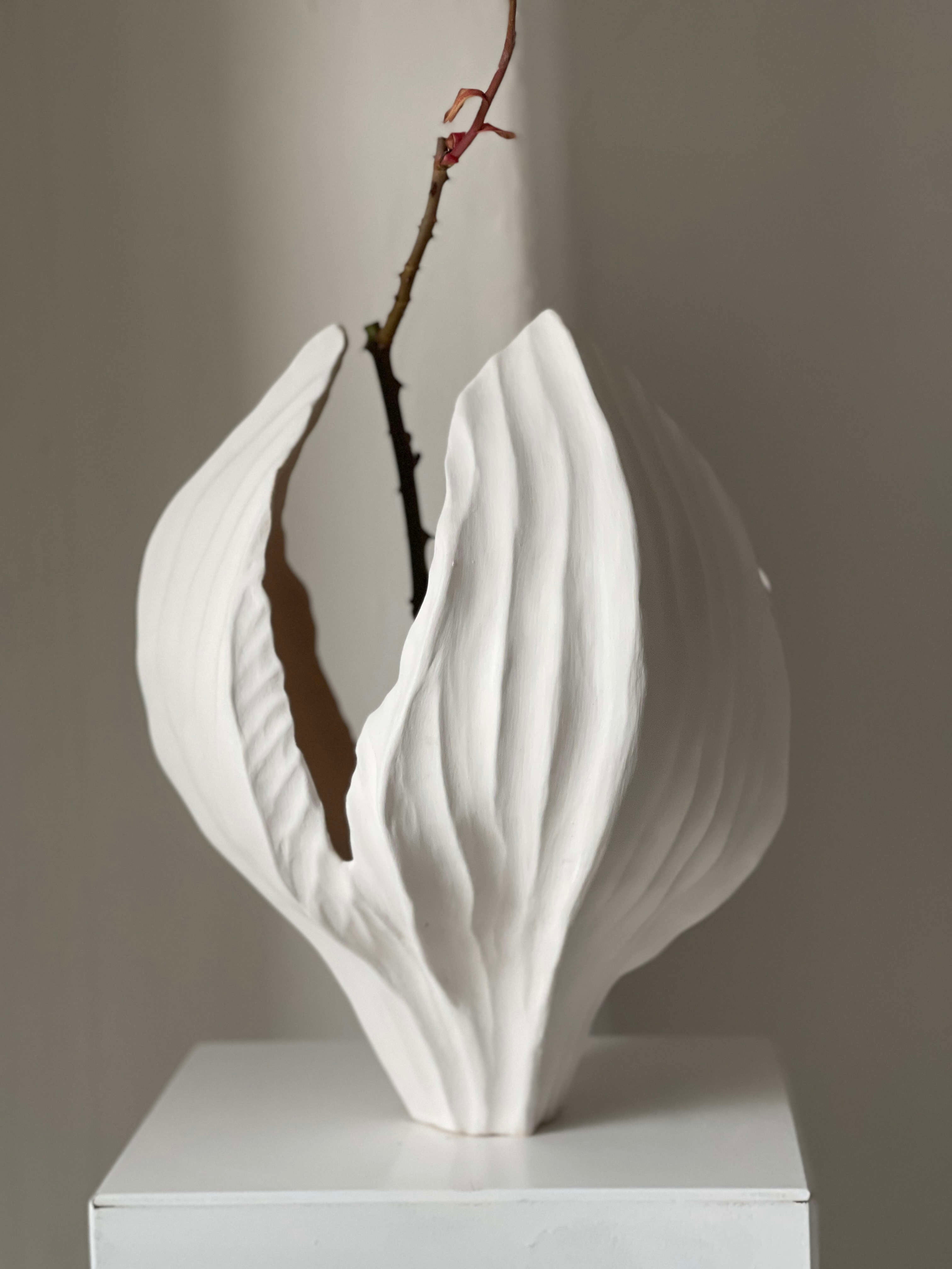 Physalis 021