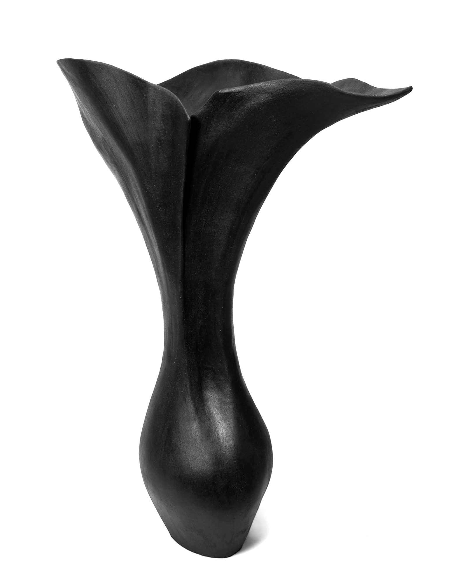 Lotus Vessel 120