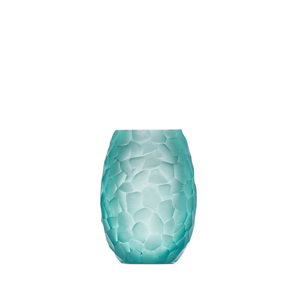 Shop Our Collection