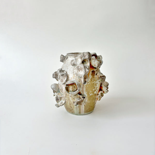 Shop Our Collection