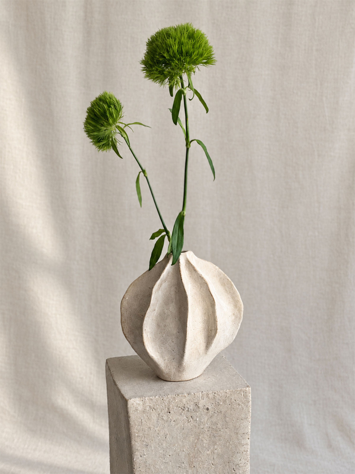 Thala Seed Vessel